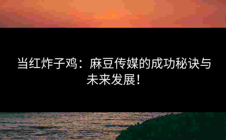 当红炸子鸡：麻豆传媒的成功秘诀与未来发展！