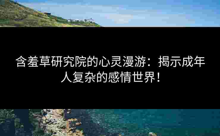 含羞草研究院的心灵漫游：揭示成年人复杂的感情世界！
