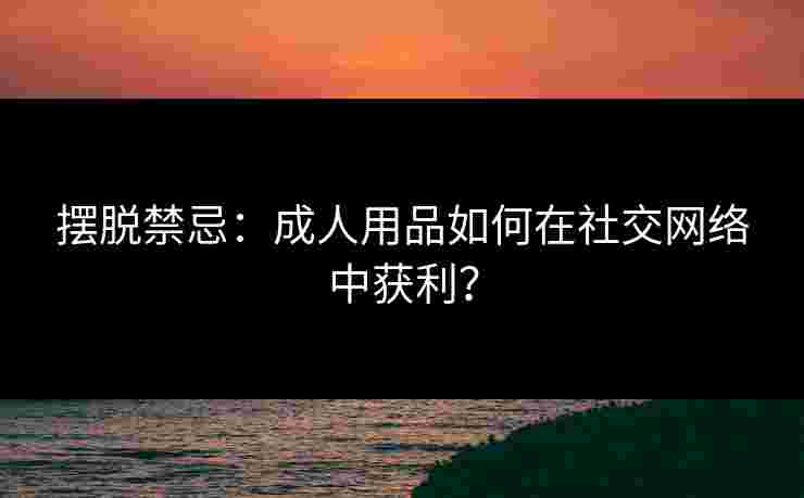 摆脱禁忌：成人用品如何在社交网络中获利？
